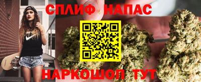 гашик Кизилюрт