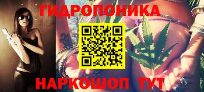 шишки Керчь