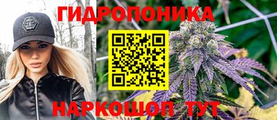 гашик Кизилюрт