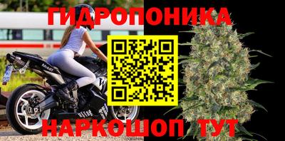 гашик Кизилюрт