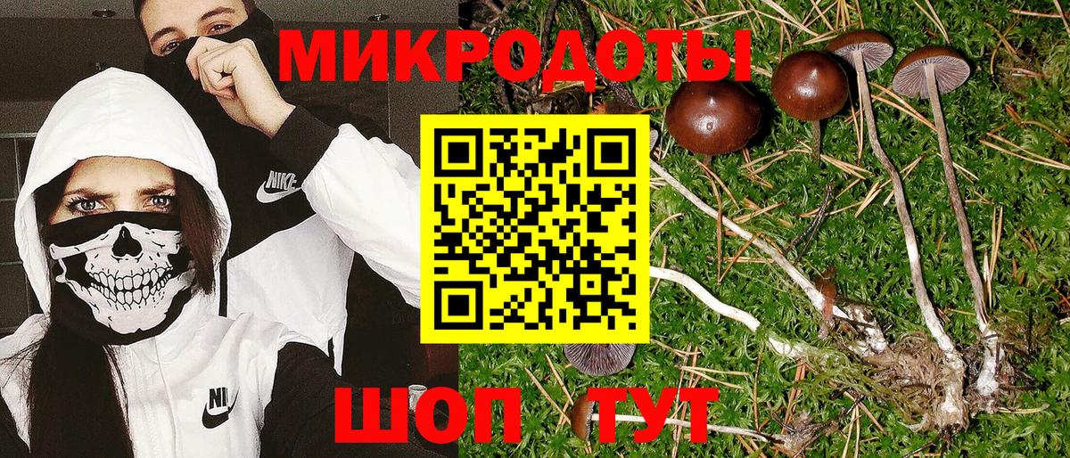 Псилоцибиновые грибы Magic Shrooms Асино